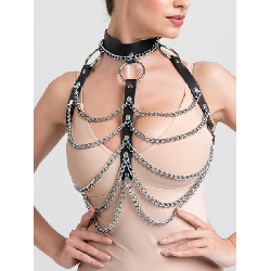 Image of DOMINIX Deluxe Leather and Chain Harness Bra