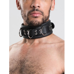 DOMINIX Deluxe Heavy Leather Collar