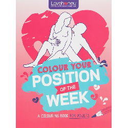 Image of Lovehoney Position of the Week Coloring Book