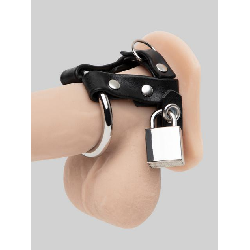 Image of DOMINIX Deluxe 2 Inch Metal Cock Ring With Locking Ball Strap